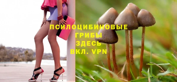 индика Арсеньев