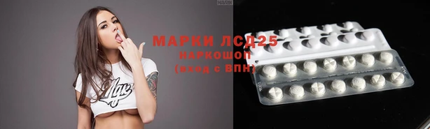 индика Арсеньев