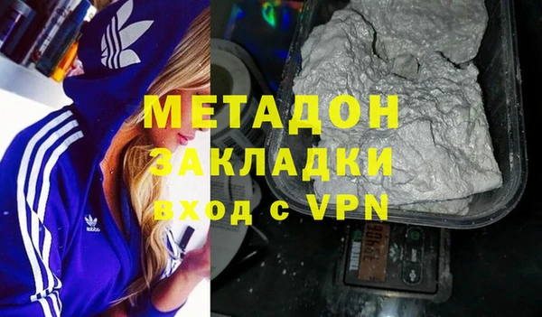 индика Арсеньев