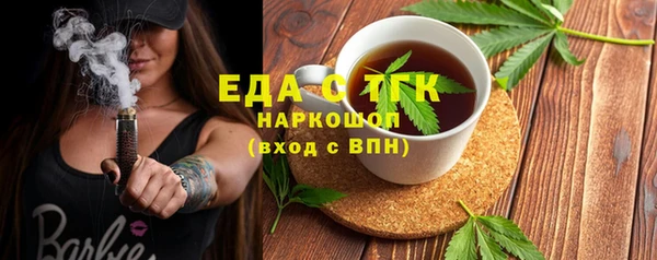 индика Арсеньев