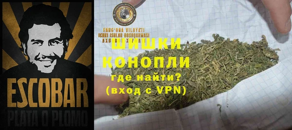 спиды Аркадак