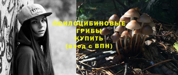 индика Арсеньев