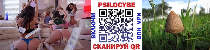 Псилоцибиновые грибы мицелий купить закладку KRAKEN ТОР Суворов